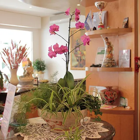 Ala 2* ريتشيوني