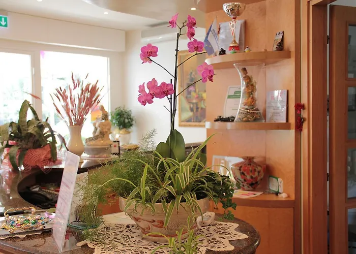 Ala 2* Риччоне